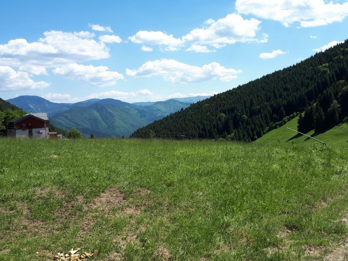 Apartament Hrabovo Barbora 19 Rużomberk Zewnętrze zdjęcie